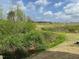 Expansive backyard view featuring a lush green landscape with trees and blue sky at 116 Bristow Ct # 49, Four Oaks, NC 27524