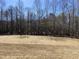 Expansive backyard with grass lawn and a wooded boundary at 367 W Amber Oak Dr # 53, Selma, NC 27576