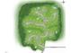 Community plot map showcasing lot locations, acreage, and street names in a natural setting at 9105 Overlook Crest Dr, Wake Forest, NC 27587
