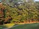 Scenic view of backyard wooded lot with trees and sunlight shining through the forest at 649 Riverwood Dr, Clayton, NC 27527