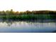 Scenic view of pond with trees in the background at 126 Harvest Ln, Pittsboro, NC 27312