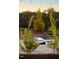 Outdoor community space with string lights and cornhole boards at 191 Anise Ln, Garner, NC 27529