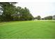 Large backyard featuring a grassy lawn with trees and partial view of a neighboring house at 138 Abingdon Farms Dr, Selma, NC 27576