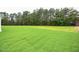 Expansive backyard with lush green grass and mature trees at the property line at 138 Abingdon Farms Dr, Selma, NC 27576