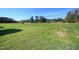 Large grassy field, some partially disrupted, in a rural neighborhood at 76 Abingdon Farms Dr, Selma, NC 27576