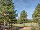 Beautiful golf course view with tall trees and manicured greens under a bright sky at , Pittsboro, NC 27312