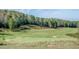 Scenic golf course with trees, sand traps, and manicured green at , Pittsboro, NC 27312