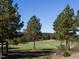Scenic golf course with trees and green under a blue sky, perfect for a round of golf at , Pittsboro, NC 27312