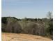 Scenic land view with lush trees, open fields, and a serene sky above at 85 Claude Creek Way, Smithfield, NC 27577