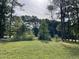 Grassy backyard with green trees, weeds, and underbrush on an overcast day at 5336 Covington Cross Dr, Knightdale, NC 27545