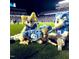 Three mascots sitting on the field; two Rams and a smaller Ram at 146 Weavers Grove Dr # 122, Chapel Hill, NC 27514