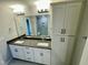 Double vanity bathroom with a large mirror and storage at 2103 Lambert Rd # 62, Cary, NC 27519