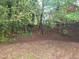 A lush backyard with mature trees and greenery, creating a private and natural setting at 1202 N Duke St, Durham, NC 27701