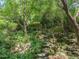 Picturesque landscaped garden features a stone pathway, lush plants, and stone features for contemplation at 2501 Kenmore Dr, Raleigh, NC 27608