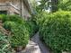 Landscaped walkway lined with manicured greenery, leading to the house and enhancing its curb appeal at 2501 Kenmore Dr, Raleigh, NC 27608