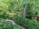 Lush landscaping features mature trees and manicured shrubs, creating a peaceful outdoor environment at 2501 Kenmore Dr, Raleigh, NC 27608