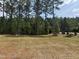 View of treed backyard at 135 Green Haven Blvd # 1, Youngsville, NC 27596