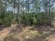 View of treed backyard at 135 Green Haven Blvd # 1, Youngsville, NC 27596