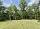 Lush green backyard surrounded by mature trees, offering ample space for outdoor activities at 205 Red Cardinal Ct, Youngsville, NC 27596