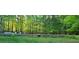 Scenic pond surrounded by lush greenery, perfect for relaxation and enjoying nature at 7610 Buckhorn Rd, Hillsborough, NC 27278