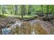 Peaceful creek flowing through a wooded area at 1021 Dimmocks Mill Rd, Hillsborough, NC 27278