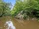 Scenic view of a serene creek and rocky bank surrounded by lush green trees at 1021 Dimmocks Mill Rd, Hillsborough, NC 27278
