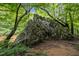 Picturesque view of a creek bordered by a mossy rock formation and mature trees at 1021 Dimmocks Mill Rd, Hillsborough, NC 27278