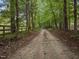 Scenic tree-lined driveway leading to the property, offering privacy and a welcoming entrance at 1021 Dimmocks Mill Rd, Hillsborough, NC 27278