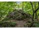 Natural rock formation in the woods with mature trees and forest floor at 1021 Dimmocks Mill Rd, Hillsborough, NC 27278