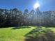 Spacious grassy backyard with lush trees and sunny skies at 2126 Opulent Oaks Ln # 14, Durham, NC 27713