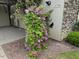 Charming front entrance detail showcasing vibrant purple clematis flowers climbing alongside the home's facade at 3700 Lark Farm Rd, Franklinton, NC 27525