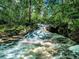 Peaceful creek flowing through lush greenery at 1242 Barreto Dr # 2360, Wendell, NC 27591