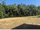 Image of the expansive backyard awaiting landscaping, with view of the surrounding mature trees at 236 Alden Way, Angier, NC 27501