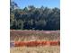 Scenic view of the property with tall grass, trees, and an orange construction barrier, indicating the boundaries of the building site at 236 Alden Way, Angier, NC 27501