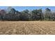 A vast expanse of land with tall, verdant trees in the background, awaiting the construction of your dream home at 291 Alden Way, Angier, NC 27501
