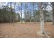 Wooded backyard with mature trees at 4713 Zebulon Rd, Zebulon, NC 27597