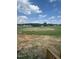 Spacious backyard surrounded by green space at 111 Demascus Way # 021, Four Oaks, NC 27524