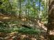 The backyard has a walking bridge spanning a stream at 3105 Cone Manor Ln, Raleigh, NC 27613
