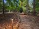 Scenic pathway with stone edging, illuminated by landscape lighting through a lush, wooded area at 3105 Cone Manor Ln, Raleigh, NC 27613