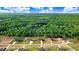 Aerial view of homes surrounded by lush greenery, showcasing spacious lots and serene neighborhood setting at 9314 Turkey Way, Middlesex, NC 27557