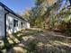 Picturesque backyard featuring lush green grass and a newly planted tree at 2710 - A Mansfield Ave, Durham, NC 27703