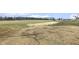 Large back yard with open area and sparse vegetation awaiting new landscaping at 233 Surles Rd, Benson, NC 27504