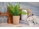 Close-up of countertop decor showcasing a potted fern, white pitcher, and stylish backsplash tiles at 33 Macy Cir, Wendell, NC 27591