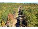 Scenic aerial view of a long winding paved road running through a forest with trees of various colors at 698 Magnolia Acres Ln, Fuquay Varina, NC 27526