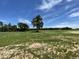 Expansive backyard with trees and an open field under a beautiful blue sky at 346 Olivia Crossing Ct # 12, Four Oaks, NC 27524