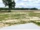 Expansive backyard with a view of trees and farmland, ready for landscaping at 346 Olivia Crossing Ct # 12, Four Oaks, NC 27524