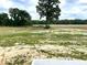 Large backyard featuring open space with scattered trees, perfect for outdoor activities at 346 Olivia Crossing Ct # 12, Four Oaks, NC 27524