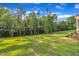 Green backyard with tall trees, perfect for outdoor activities at 27 Asti Ct, Clayton, NC 27527