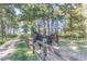 Scenic horse property with horses by the fence, and a charming tree-lined backdrop at 27 Asti Ct, Clayton, NC 27527