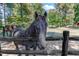 Picturesque horse property featuring horses grazing behind a rustic wooden fence at 27 Asti Ct, Clayton, NC 27527